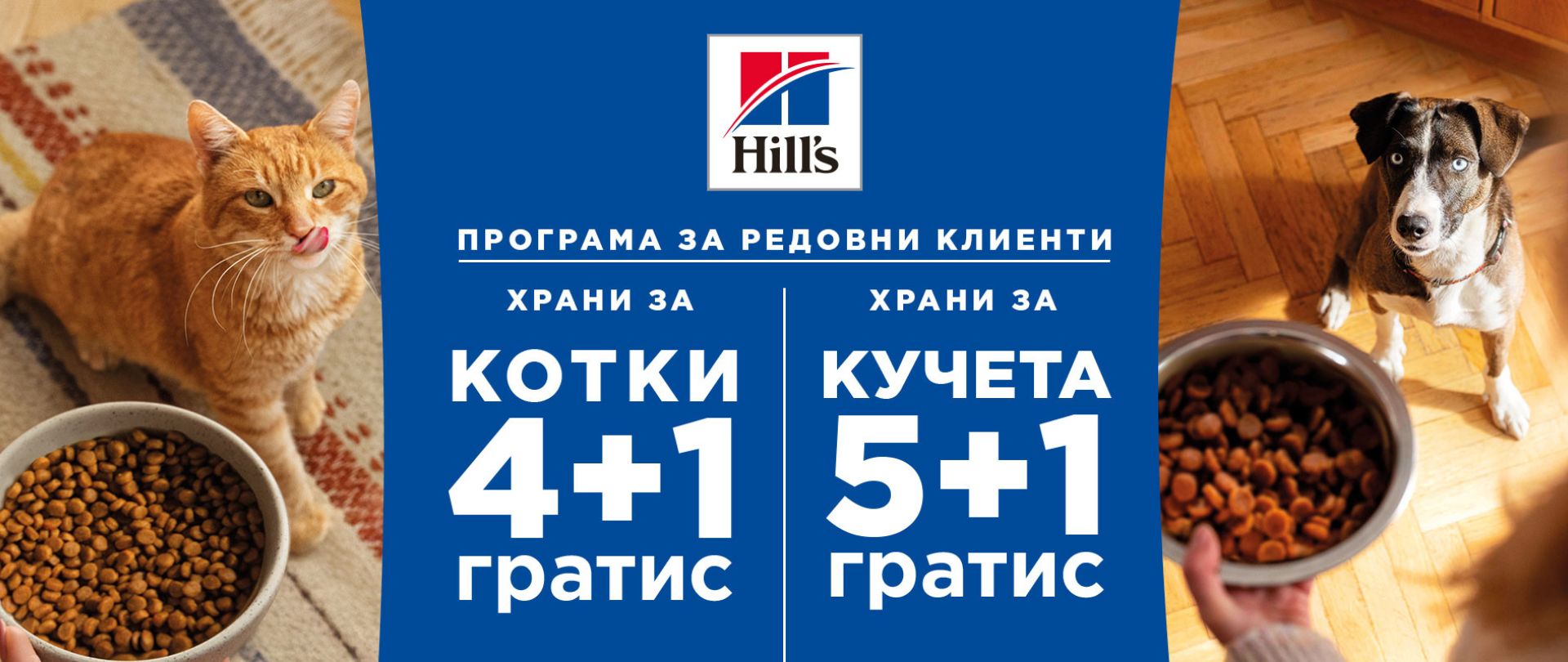 Hill's 5+1/4+1