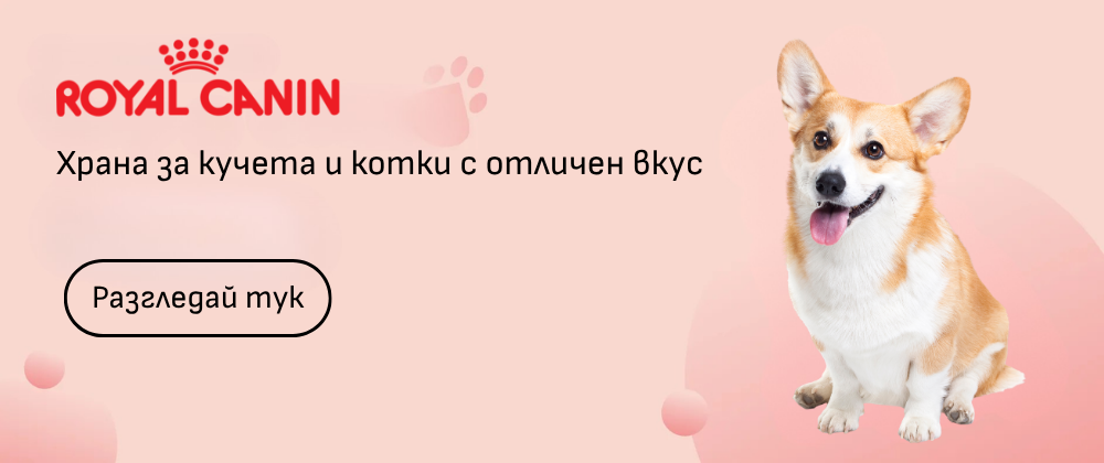 Royal Canin