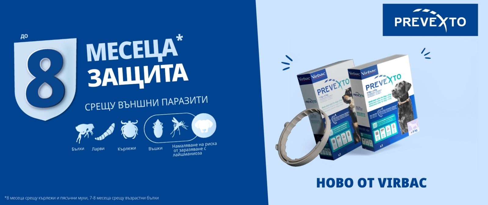 Prevexto