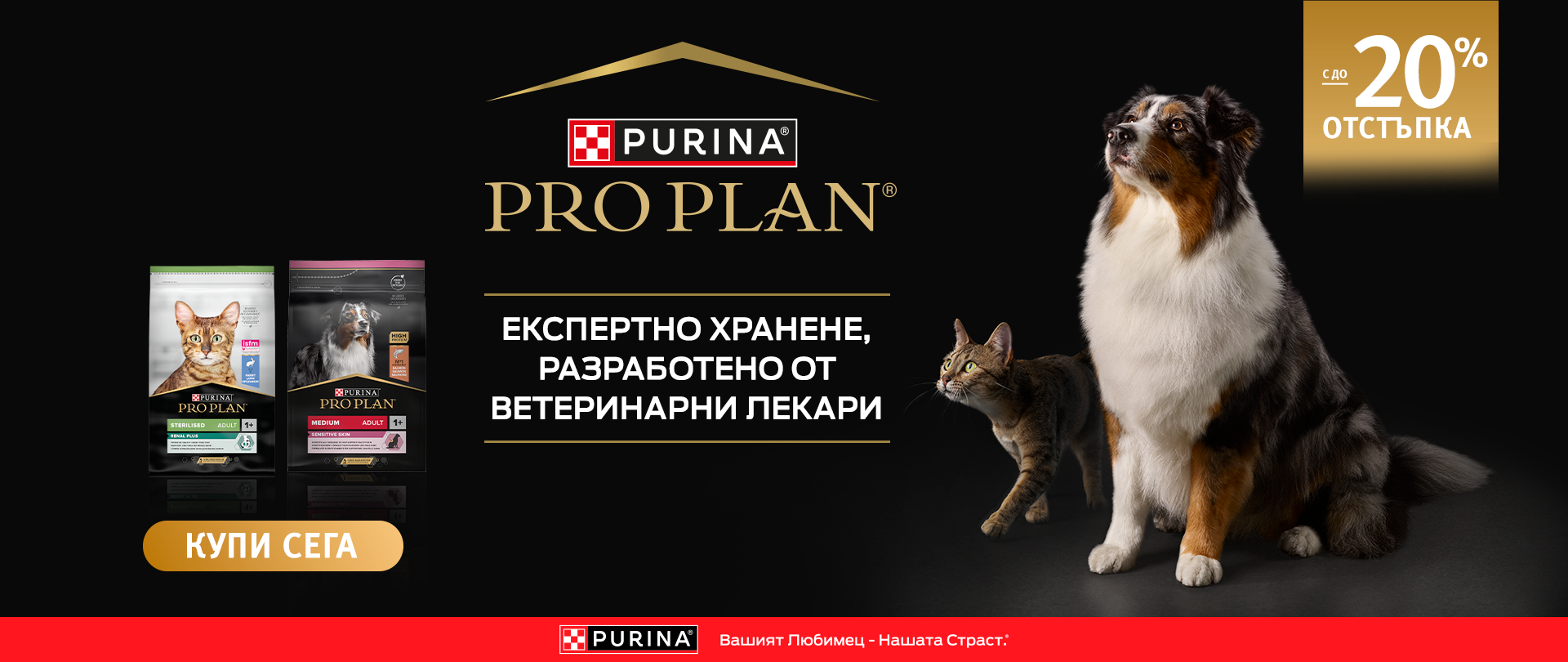 Pro Plan -20%