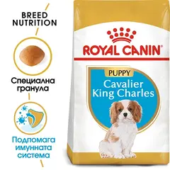Royal Canin Cavalier King Charles Puppy - за подрастващи кучета от породата Кавалер Кинг Чарлз - 1.5 кг