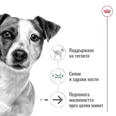 Royal Canin Mini Ageing +12 - суха храна за кучета в напреднала възраст - 1.5 кг