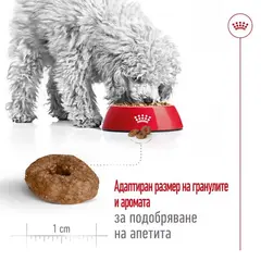 Royal Canin Mini Ageing +12 - суха храна за кучета в напреднала възраст - 1.5 кг
