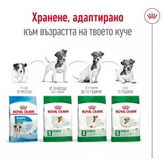 Royal Canin Mini Ageing +12 - суха храна за кучета в напреднала възраст - 1.5 кг