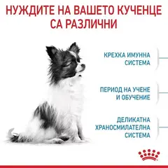 Royal Canin X-Small Puppy - суха храна за подрастващи кучета