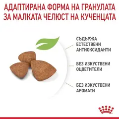 Royal Canin X-Small Puppy - суха храна за подрастващи кучета