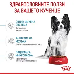 Royal Canin X-Small Puppy - суха храна за подрастващи кучета