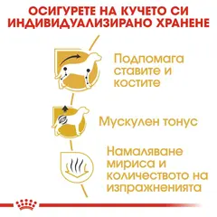 Royal Canin Dachshund Adult - за кучета порода дакел над 10 месечна възраст