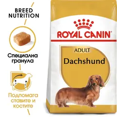 Royal Canin Dachshund Adult - за кучета порода дакел над 10 месечна възраст