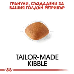 Royal Canin Golden Retriever Adult - за кучета порода Голдън Ретривър на възраст над 15 месеца