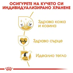 Royal Canin Golden Retriever Adult - за кучета порода Голдън Ретривър на възраст над 15 месеца