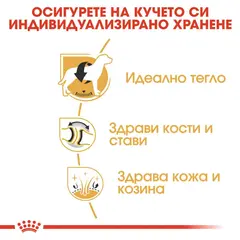 Royal Canin Labrador Retriever Adult - за кучета порода лабрадор на възраст над 15 месеца - 12 кг