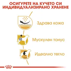 Royal Canin Pug Adult - за кучета порода мопс на възраст над 8 месеца  - 1.5 кг