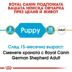Royal Canin German Shepherd Puppy - за подрастващи кучета порода немска овчарка на възраст до 15 месеца