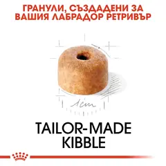 Royal Canin Labrador Retriever Puppy - за подрастващи кучета порода лабрадор на възраст от 1 до 15 месеца