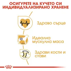 Royal Canin Rottweiller Adult - за кучета порода ротвайлер на възраст над 18 месеца - 12 кг