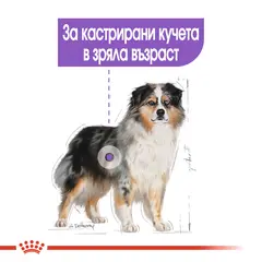 ROYAL CANIN MEDIUM STERILISED - суха храна за кастрирани кучета от средни породи над 12 месеца - 12 кг