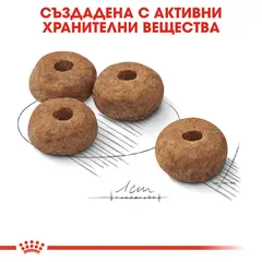 ROYAL CANIN MEDIUM STERILISED - суха храна за кастрирани кучета от средни породи над 12 месеца - 12 кг