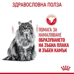 Royal Canin Dental Care - суха храна за котки за оптимална устна и зъбна хигиена