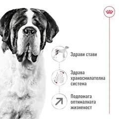 Royal Canin Giant Adult -  Пълноценна храна за кучета  в зряла възраст от гигантски породи (над 45 кг) - над 18/24 месеца - 15 кг.