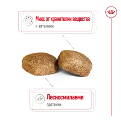 Royal Canin Giant Adult -  Пълноценна храна за кучета  в зряла възраст от гигантски породи (над 45 кг) - над 18/24 месеца - 15 кг.
