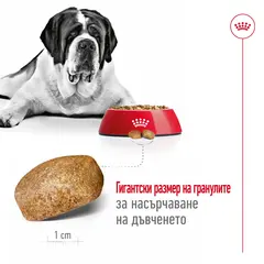 Royal Canin Giant Adult -  Пълноценна храна за кучета  в зряла възраст от гигантски породи (над 45 кг) - над 18/24 месеца - 15 кг.