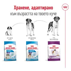 Royal Canin Giant Adult -  Пълноценна храна за кучета  в зряла възраст от гигантски породи (над 45 кг) - над 18/24 месеца - 15 кг.