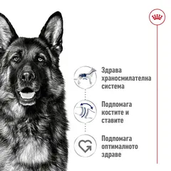 Royal Canin Maxi Adult - суха храна за големи кучета