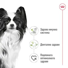 Royal Canin X-Small Adult - Пълноценна храна за кучета в зряла възраст от много дребни породи (тегло до 4 кг) - над 10 месеца