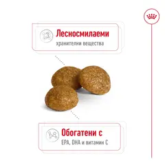 Royal Canin X-Small Adult - Пълноценна храна за кучета в зряла възраст от много дребни породи (тегло до 4 кг) - над 10 месеца