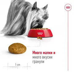 Royal Canin X-Small Adult - Пълноценна храна за кучета в зряла възраст от много дребни породи (тегло до 4 кг) - над 10 месеца