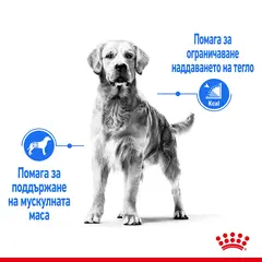 ROYAL CANIN® MAXI LIGHT WEIGHT CARE - суха храна за кучета в зряла възраст от едри породи над 15 месеца предразположени към наддаване на тегло