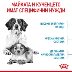 ROYAL CANIN® MEDIUM STARTER MOTHER&BABYDOG - суха храна за бременни, кърмещи, подрастващи кучета