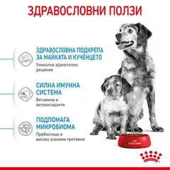 ROYAL CANIN® MEDIUM STARTER MOTHER&BABYDOG - суха храна за бременни, кърмещи, подрастващи кучета