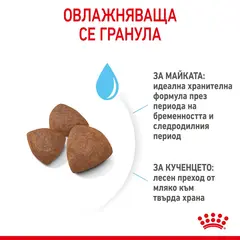 ROYAL CANIN® MEDIUM STARTER MOTHER&BABYDOG - суха храна за бременни, кърмещи, подрастващи кучета