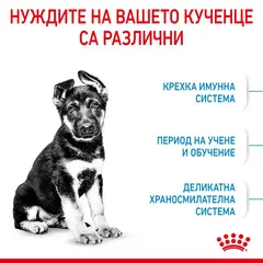 Royal Canin Maxi Puppy - суха храна за подрастващи кучета от едри породи