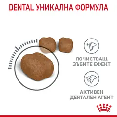 Royal Canin Dental Care - суха храна за котки за оптимална устна и зъбна хигиена