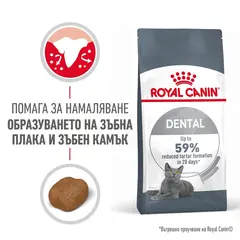 Royal Canin Dental Care - суха храна за котки за оптимална устна и зъбна хигиена