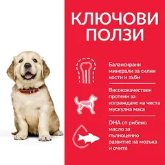 Hill's Science Plan Canine Puppy Large Breed Chicken суха храна за кученца едри породи с пиле - 16 кг.