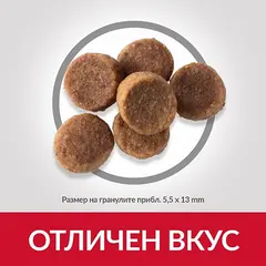 Hill's Science Plan Canine Puppy Large Breed Chicken суха храна за кученца едри породи с пиле - 16 кг.