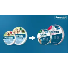 Foresto Small Dog&Cat противопаразитна каишка за кучета и котки