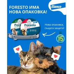 Foresto Small Dog&Cat противопаразитна каишка за кучета и котки