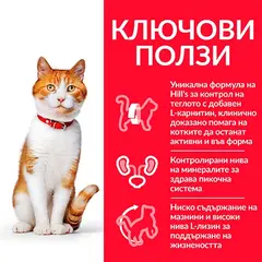 Hill's Science Plan Feline Young Adult Sterilised Chicken - храна за кастрирани котки с пиле - 10 kg