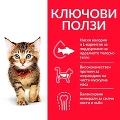 Hill's Science Plan Kitten Ocean Fish пауч за коте с риба 12 бр. x 85 гр.