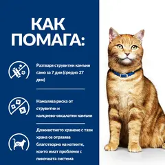 Hill's PRESCRIPTION DIET c/d Multicare Urinary Care - лечебна суха храна за котки с уринарни проблеми, с пилешко