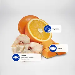 N&D Pumpkin Codfish&Orange Adult Mini - суха храна за кучета с треска и портокал