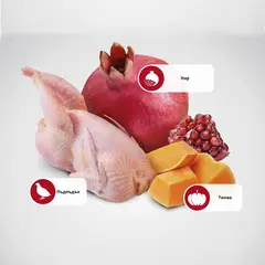 N&D Cat Pumpkin Quail & Pomegranate - суха храна за котки с пъдпъдък, тиква и нар