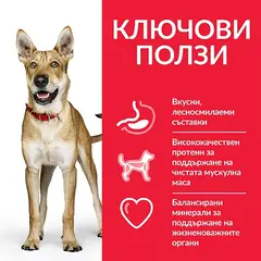Hill's Science Plan Canine Adult Performance Chicken - високоенергийна храна за кучета от едри породи - 14 кг