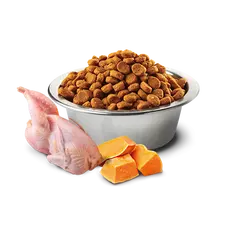 N&D Cat Quinoa Urinary - суха храна за котки с с патица, киноа, червена боровинка и лайка