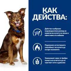 Hill's PRESCRIPTION DIET Metabolic Weight Management - лечебна суха храна за кучета с наднормено тегло, с пилешко